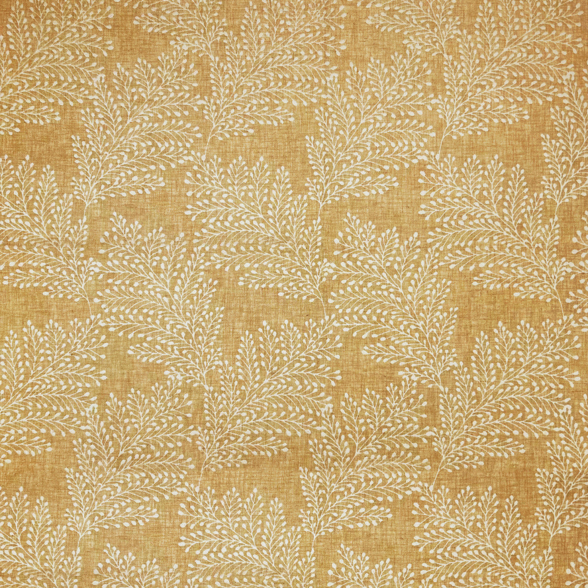 Chatham Glyn Kensington Ochre