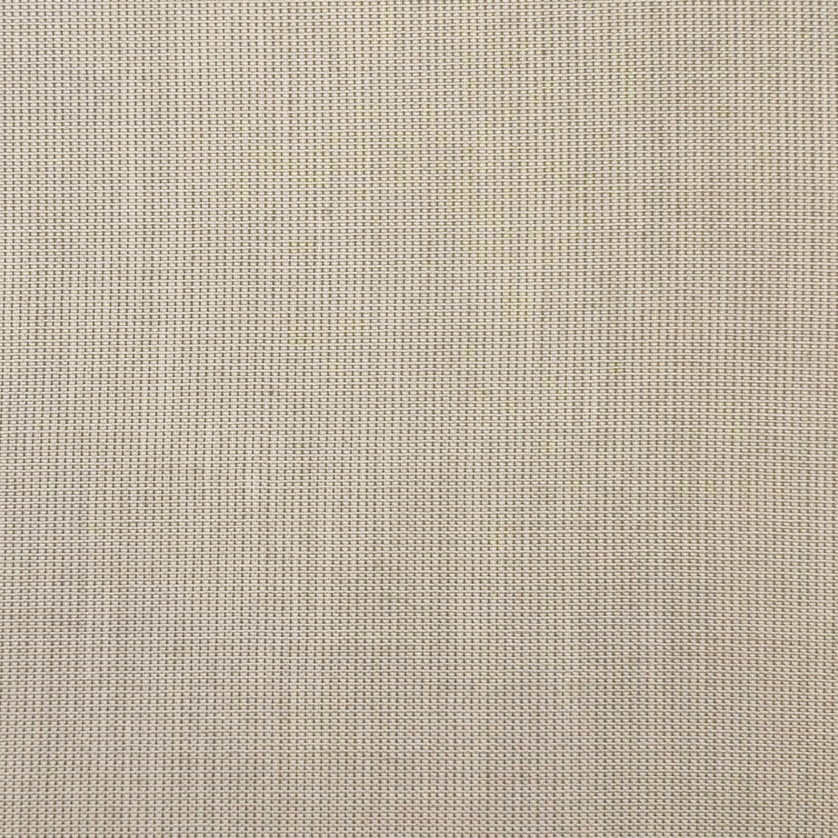 Chatham Glyn Carvallo Oyster