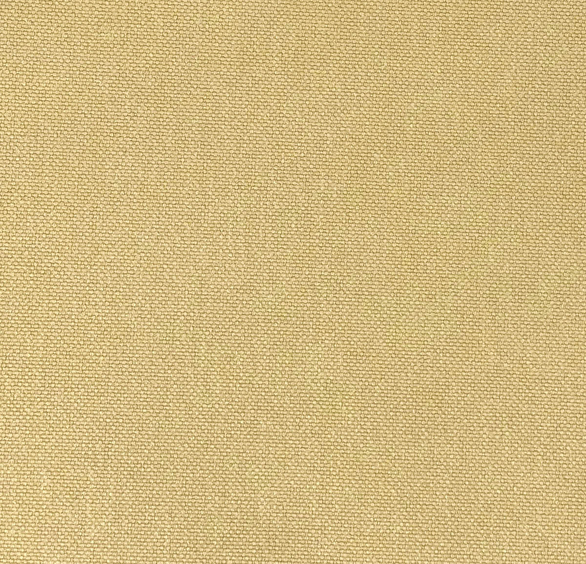 Chatham Glyn Glinara Chamois