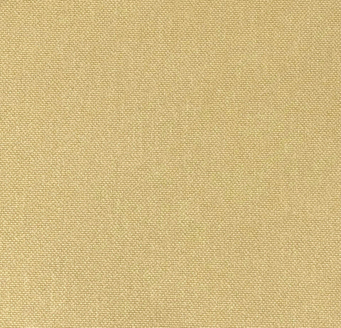 Chatham Glyn Glinara Chamois