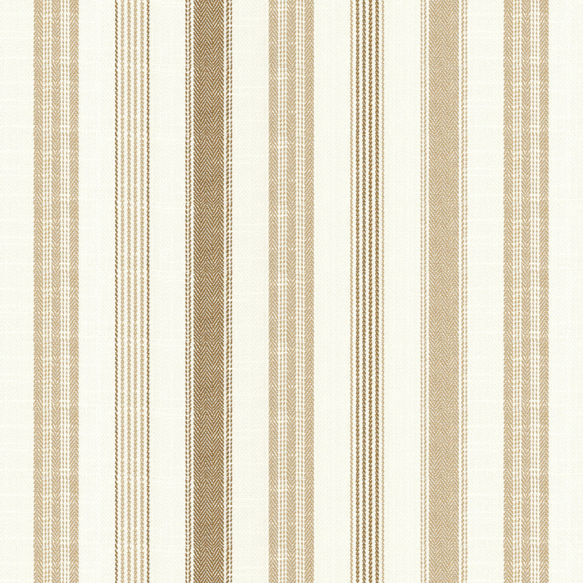 Chatham Glyn Darwin Sunflower