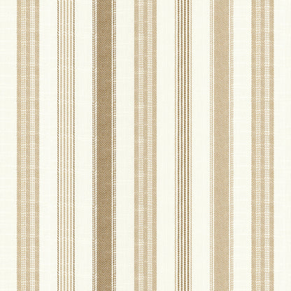 Chatham Glyn Darwin Sunflower