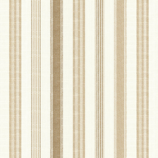 Chatham Glyn Darwin Sunflower