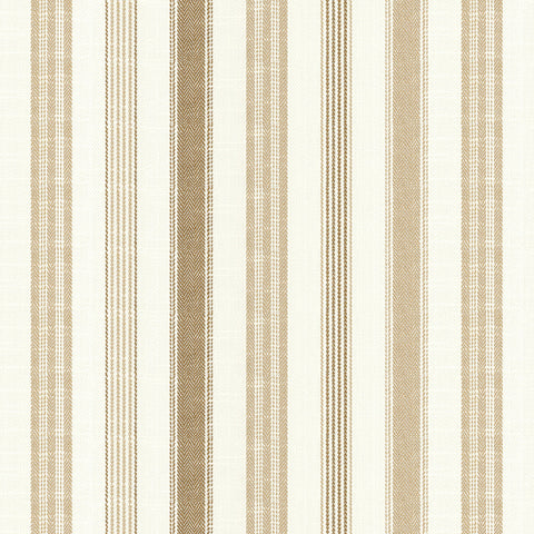 Chatham Glyn Darwin Sunflower