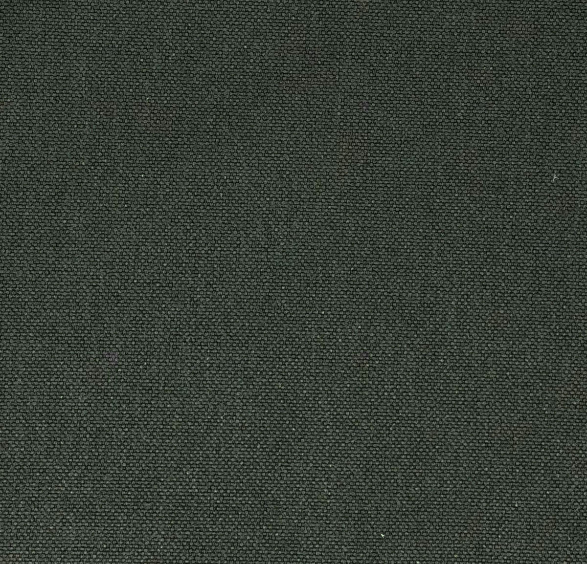 Chatham Glyn Glinara Ebony