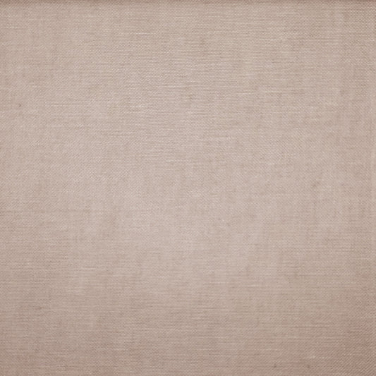 Chatham Glyn Fontana Oyster