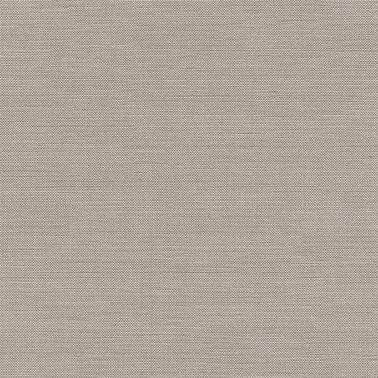 Chatham Glyn Liviski Abalone