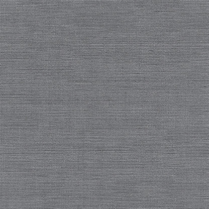 Chatham Glyn Liviski Fossil