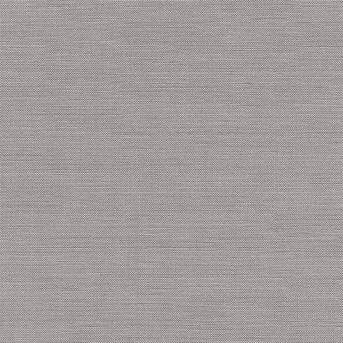 Chatham Glyn Liviski Koala