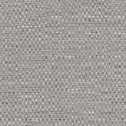 Chatham Glyn Liviski Koala