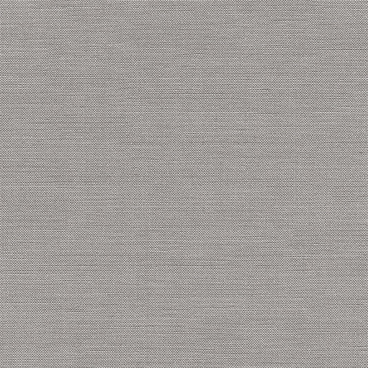 Chatham Glyn Liviski Koala