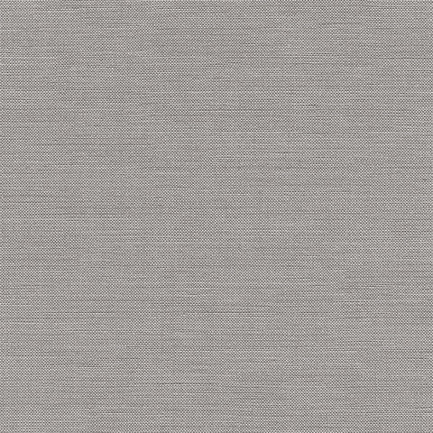 Chatham Glyn Liviski Koala