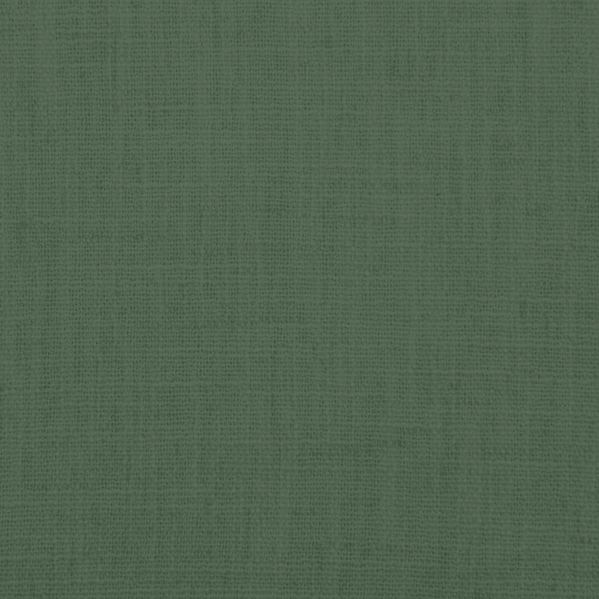 Chatham Glyn Majestic Pine