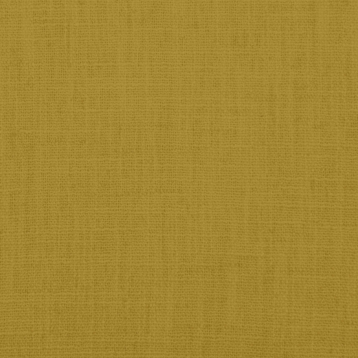 Chatham Glyn Majestic Sunflower