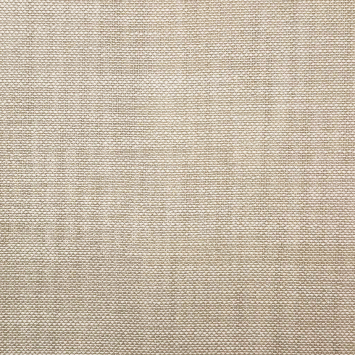 Chatham Glyn Nizane Oyster