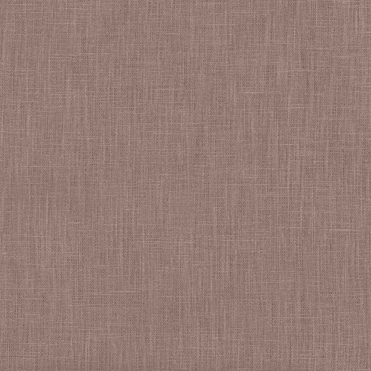 Chatham Glyn Naturelle Abelia