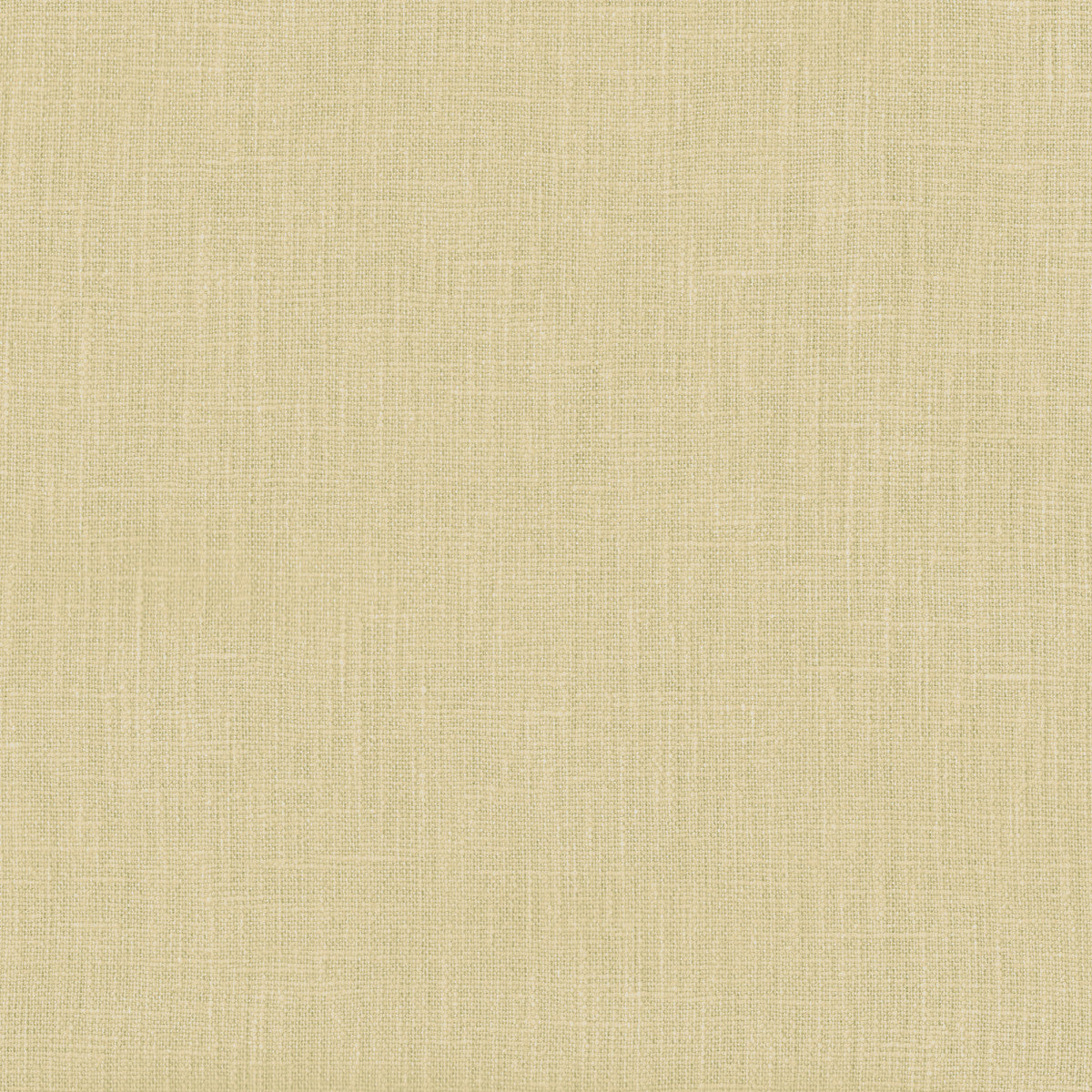 Chatham Glyn Naturelle Chicory