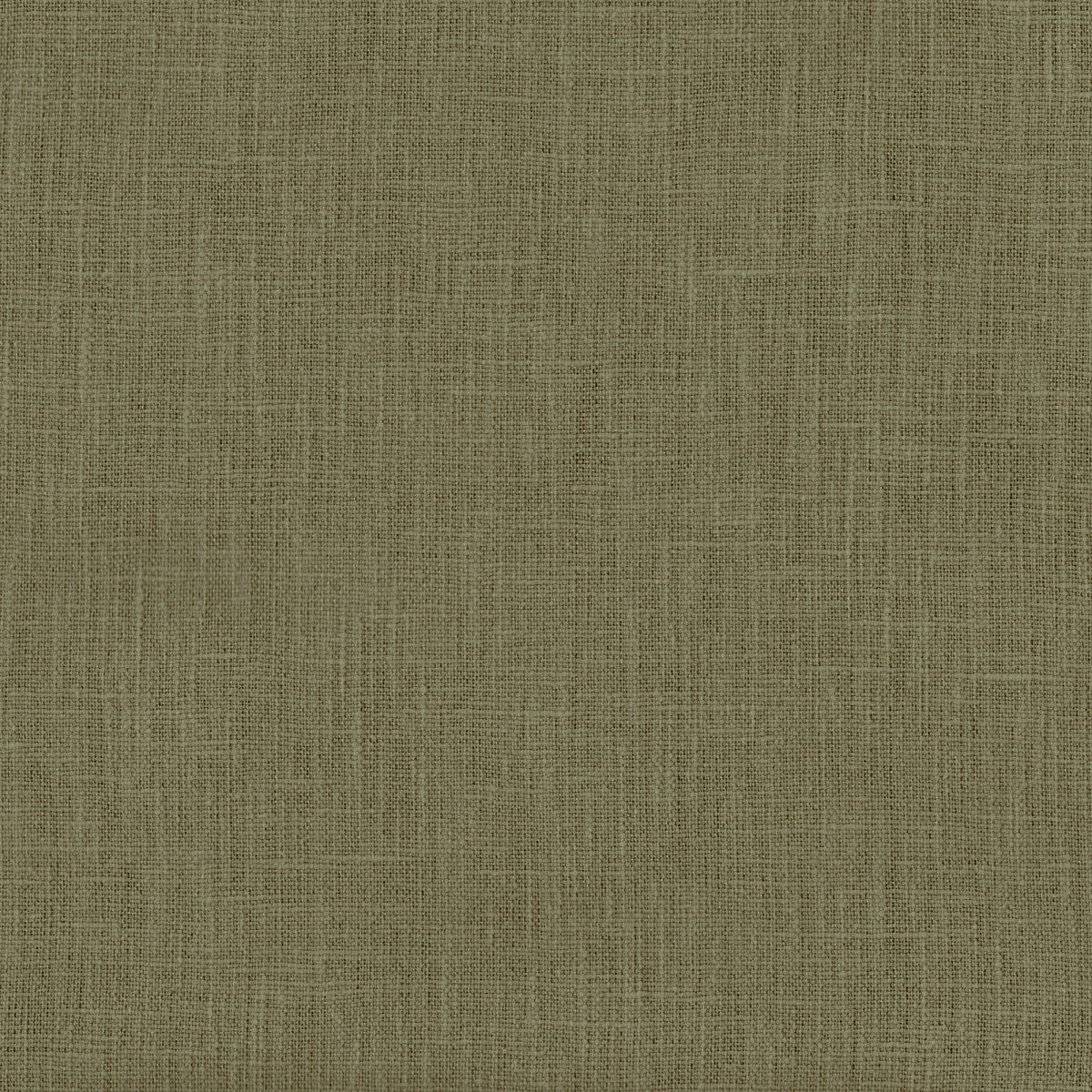 Chatham Glyn Naturelle Forest