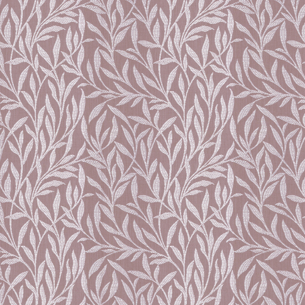 Chatham Glyn Passiflora Fawn