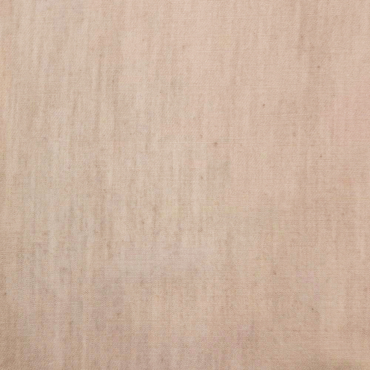 Chatham Glyn Selsey Oyster