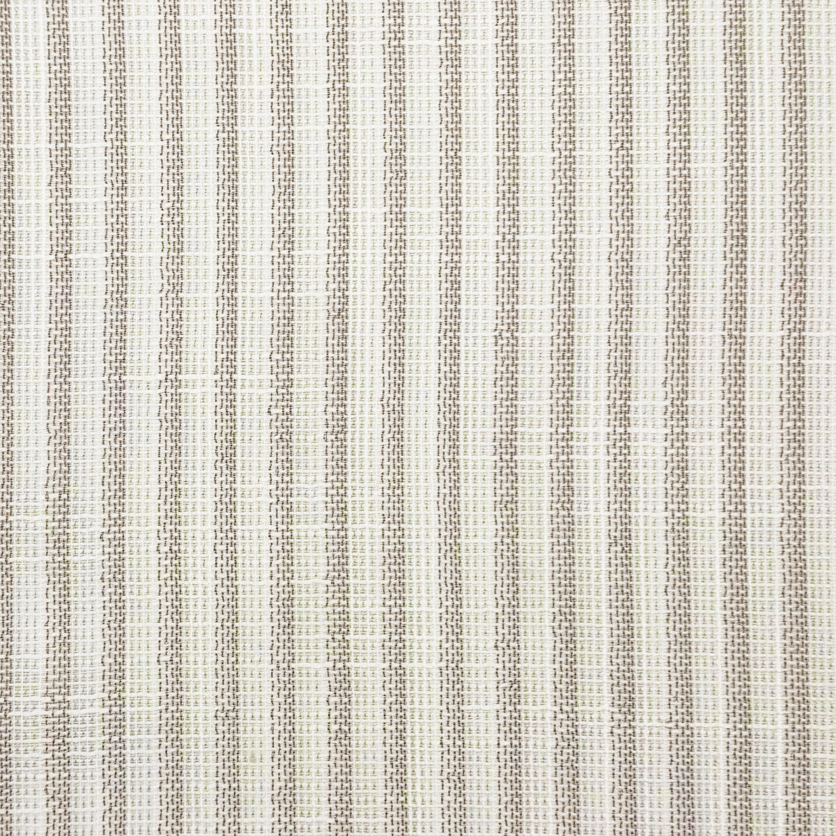 Chatham Glyn Sintra Oyster