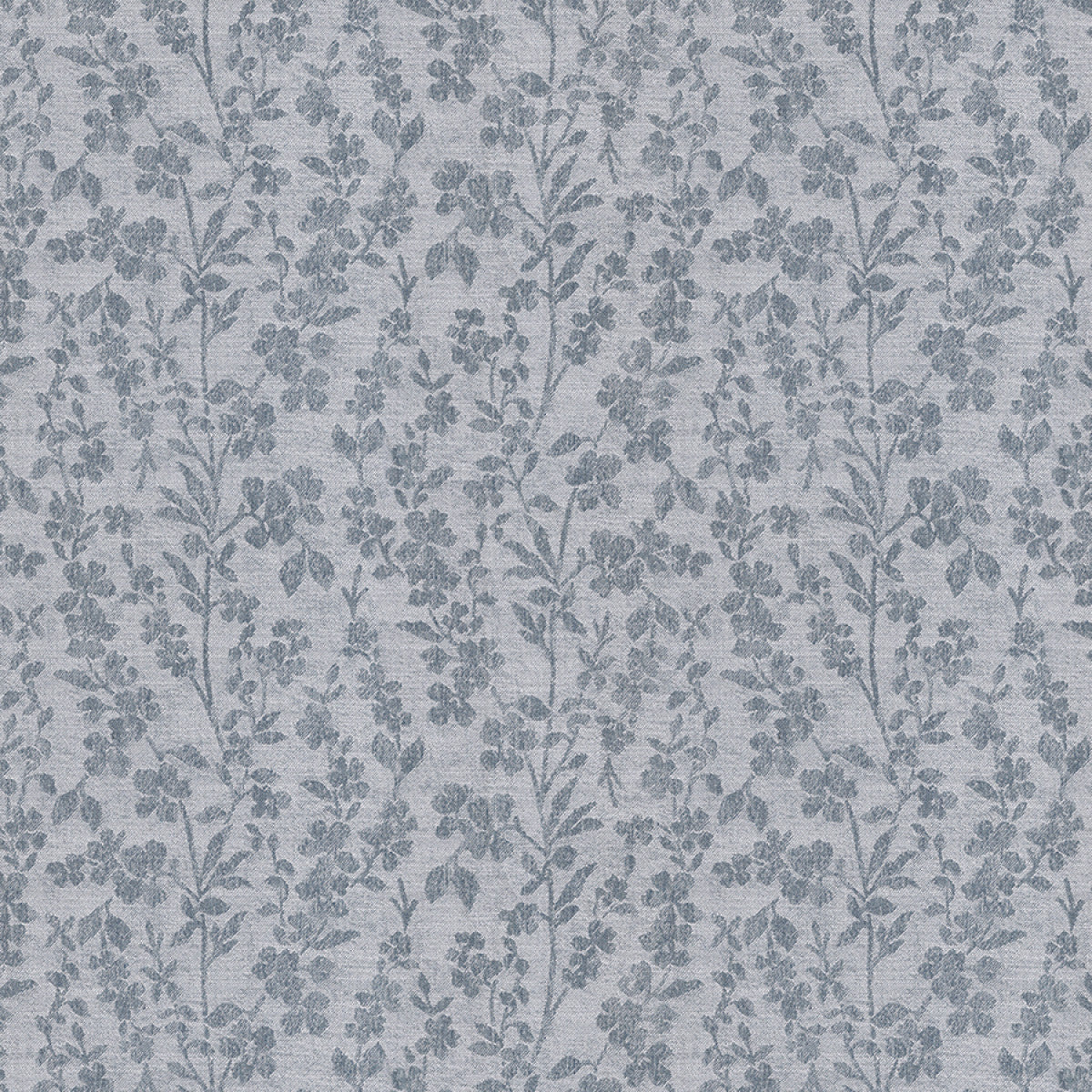 Chatham Glyn Surfinia Stargazer