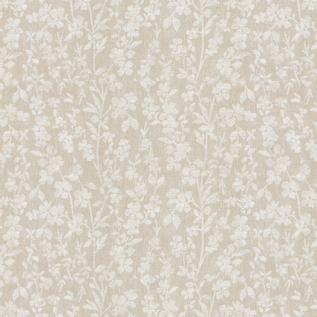 Chatham Glyn Surfinia Whisper