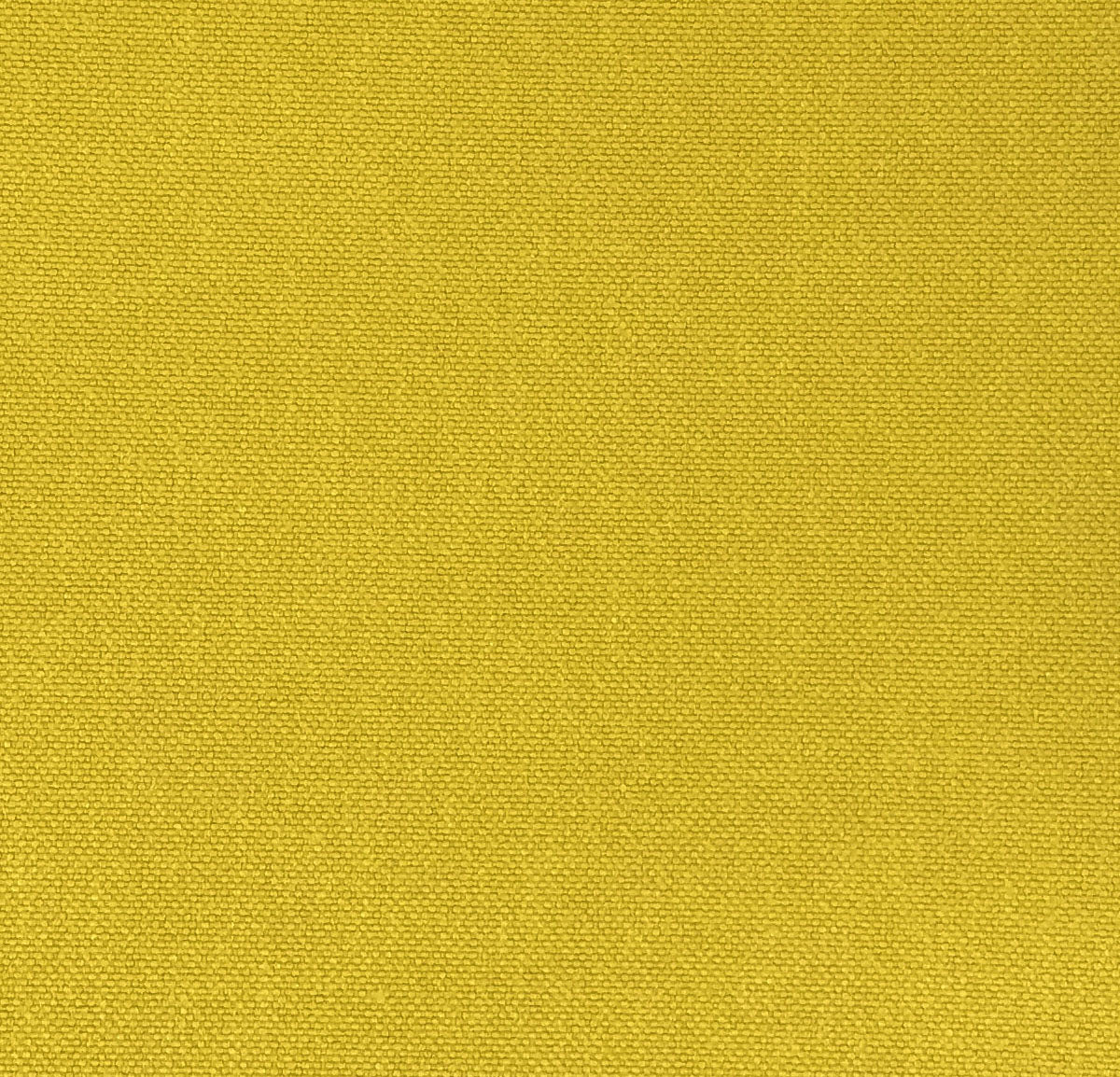 Chatham Glyn Glinara Tumeric