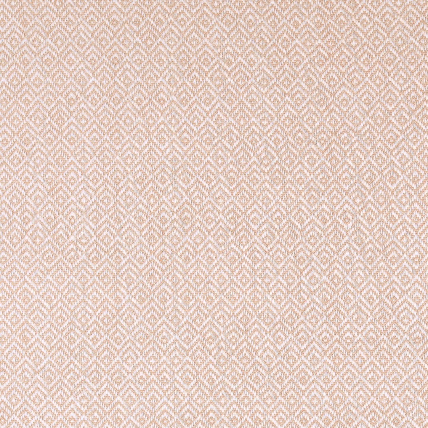 Ashley Wilde Tilly Blush