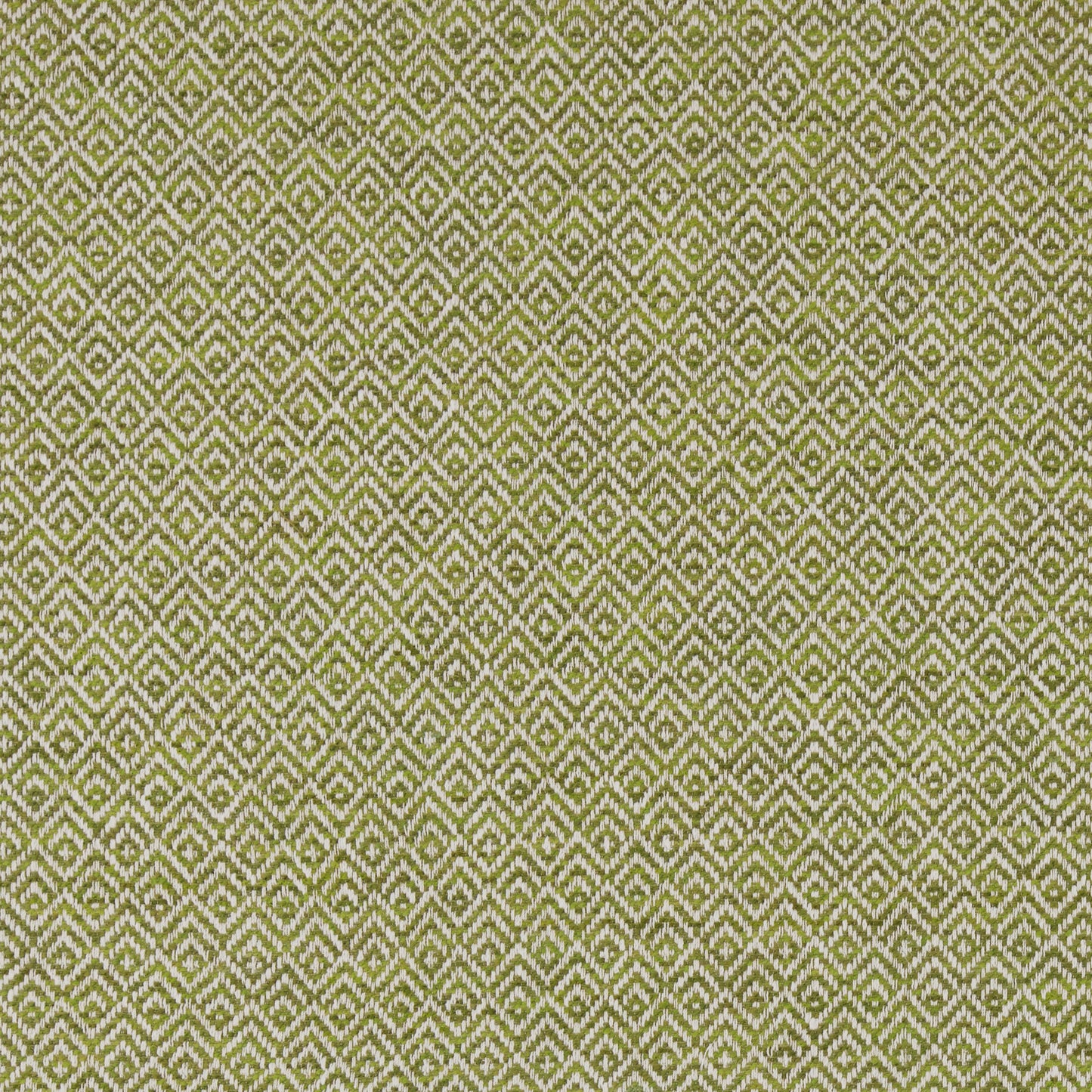 Ashley Wilde Tilly Olive