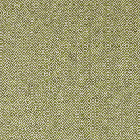 Ashley Wilde Tilly Olive