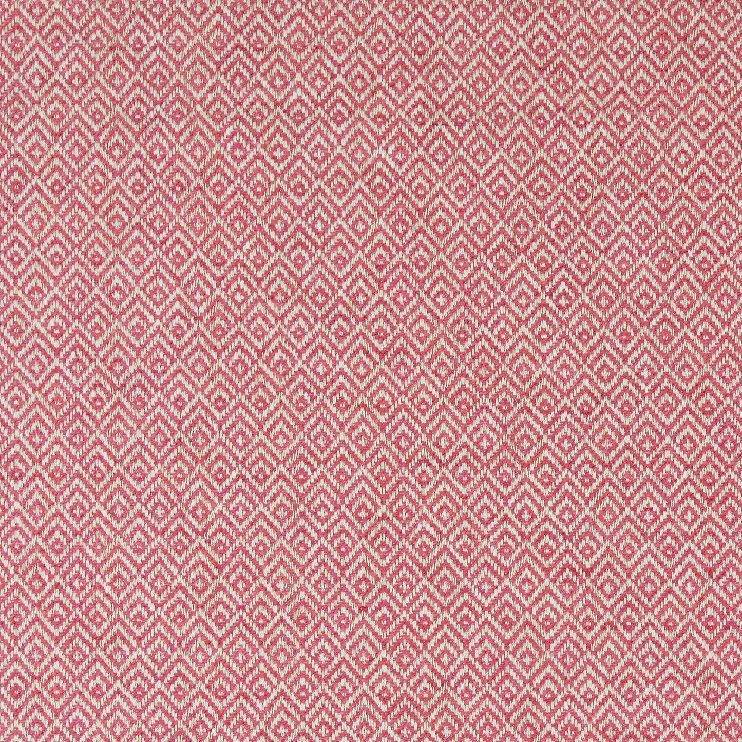 Ashley Wilde Tilly Raspberry