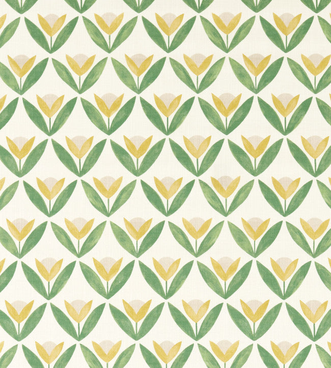 Scion Tulip Trellis Honey
