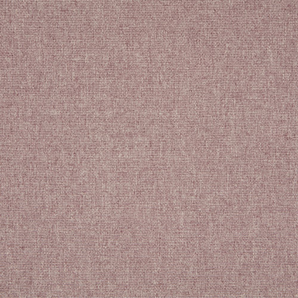 iLiv Tundra Elderberry