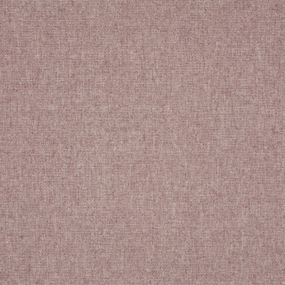 iLiv Tundra Elderberry