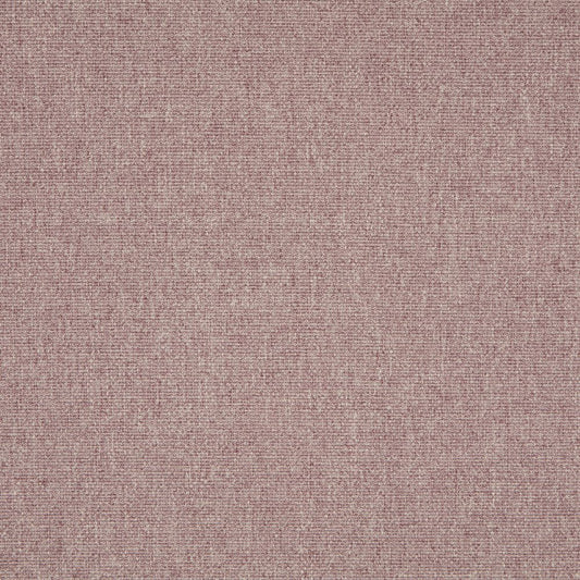 iLiv Tundra Elderberry