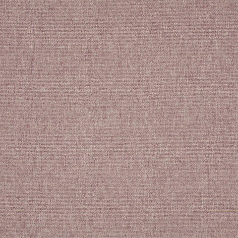 iLiv Tundra Elderberry