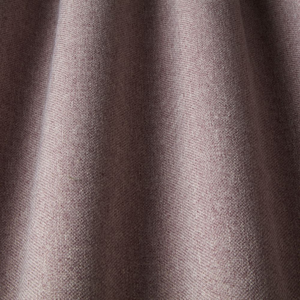 iLiv Tundra Elderberry