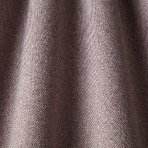 iLiv Tundra Elderberry