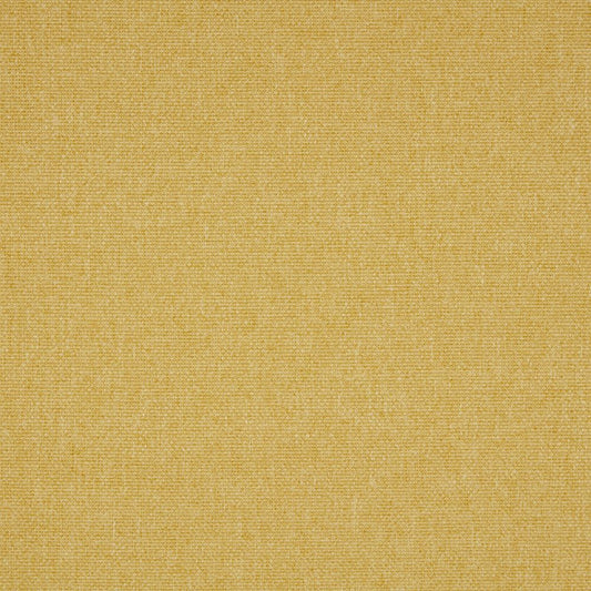 iLiv Tundra Sunshine