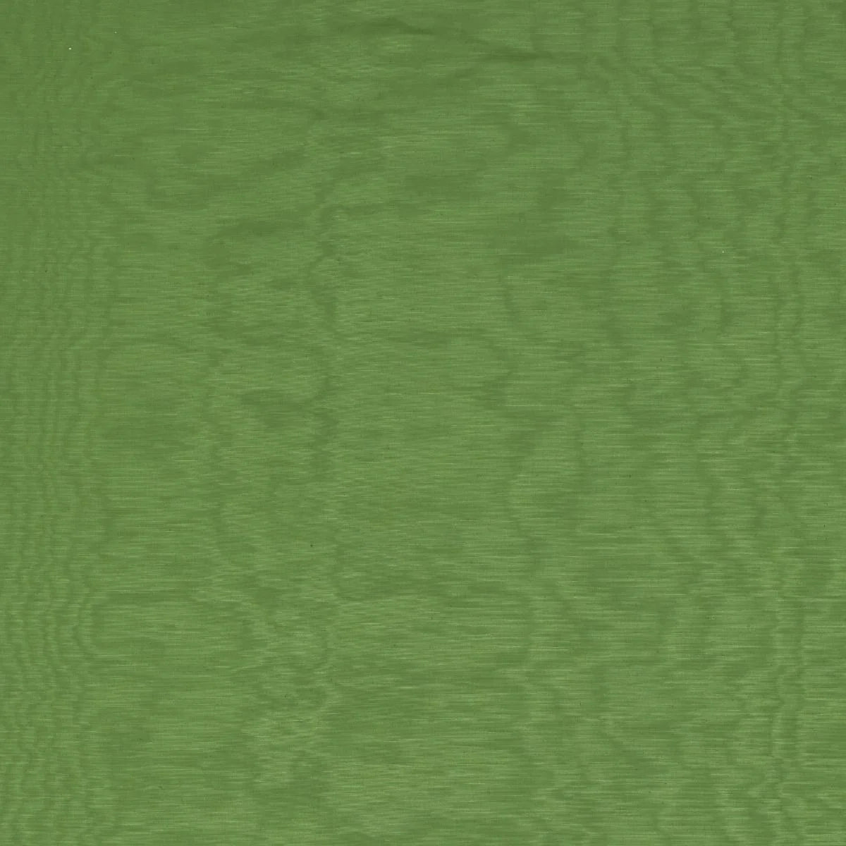 iLiv Tussar Emerald