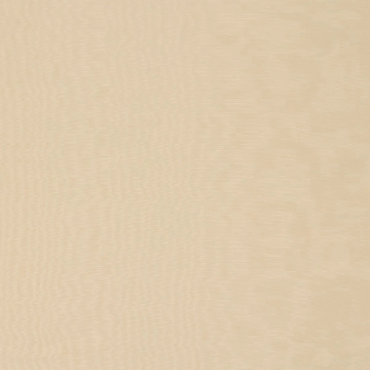 iLiv Tussar Ivory