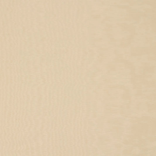 iLiv Tussar Ivory