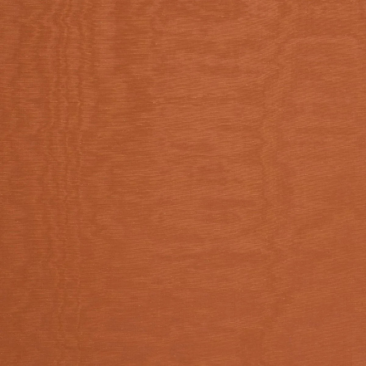iLiv Tussar Russet