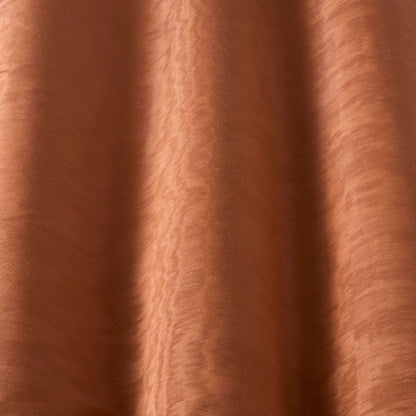 iLiv Tussar Russet