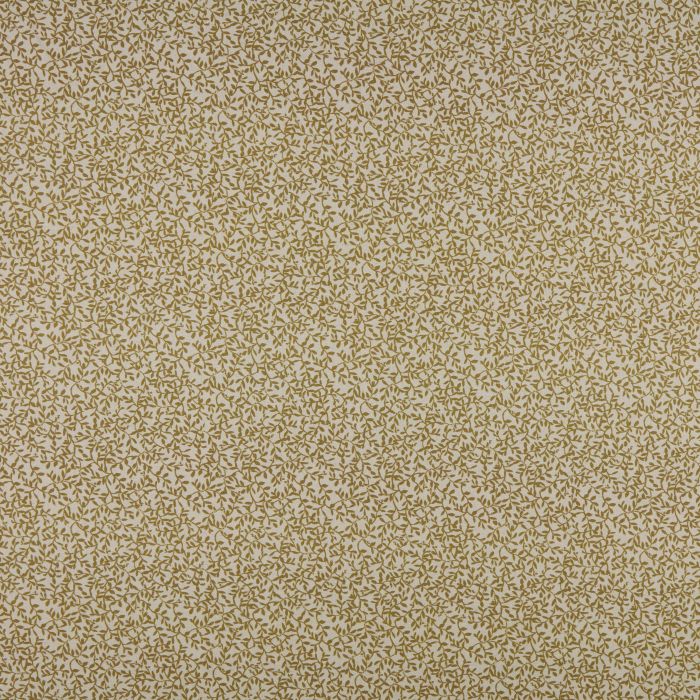 Ashley Wilde Villette Cider