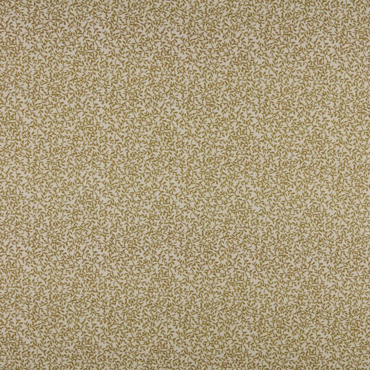 Ashley Wilde Villette Cider