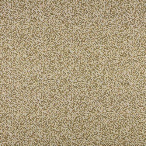 Ashley Wilde Villette Cider