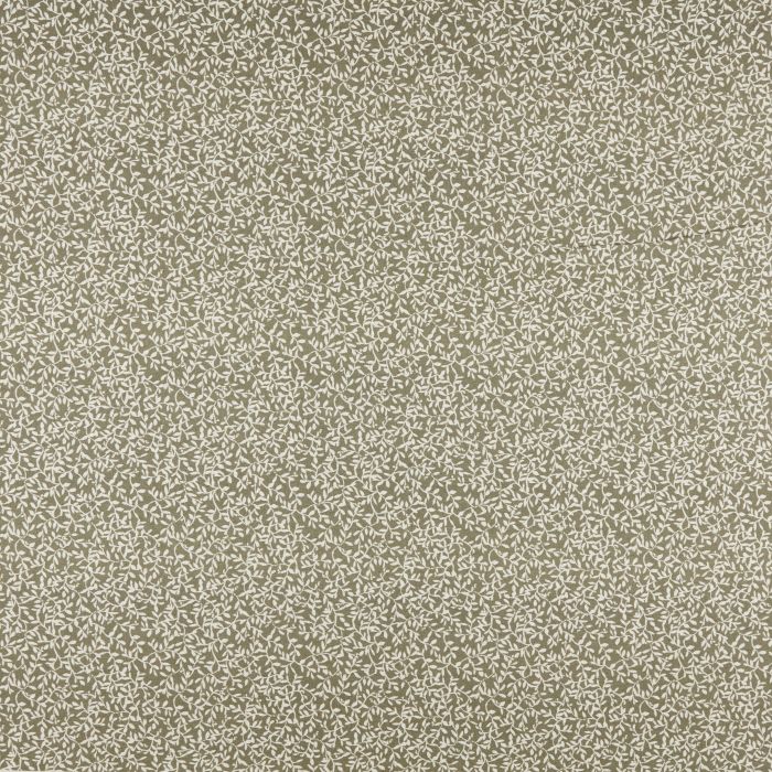 Ashley Wilde Villette Oregano