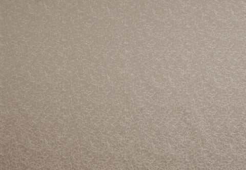 Ashley Wilde Wick Taupe
